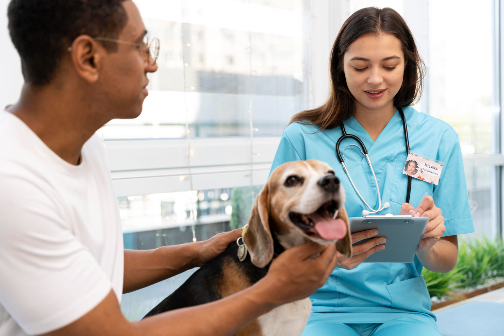Veterinary team discussing diagnostic results with a pet owner in the exam room