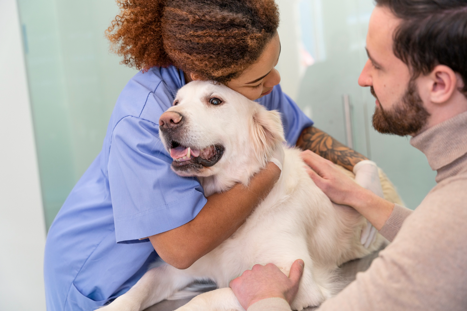 A veterinary team member gently comforting a cat or dog in a hospital setting