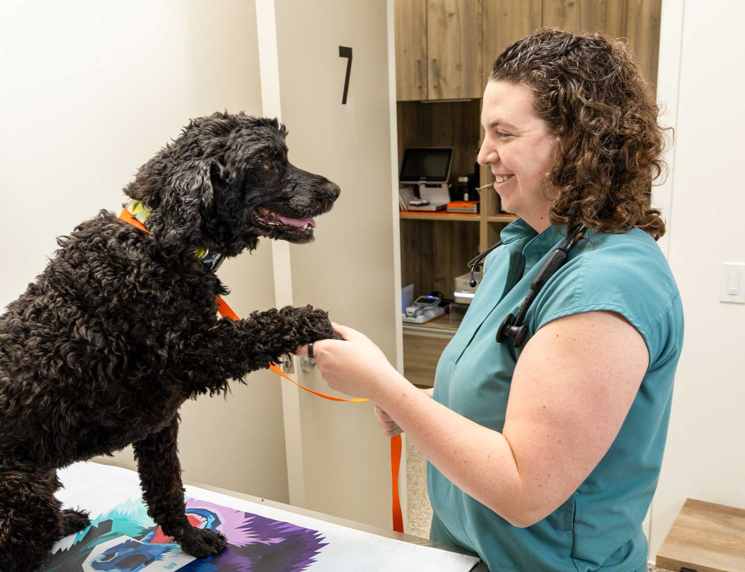 Veterinary team reviewing ultrasound images with a pet owner in a friendly exam room