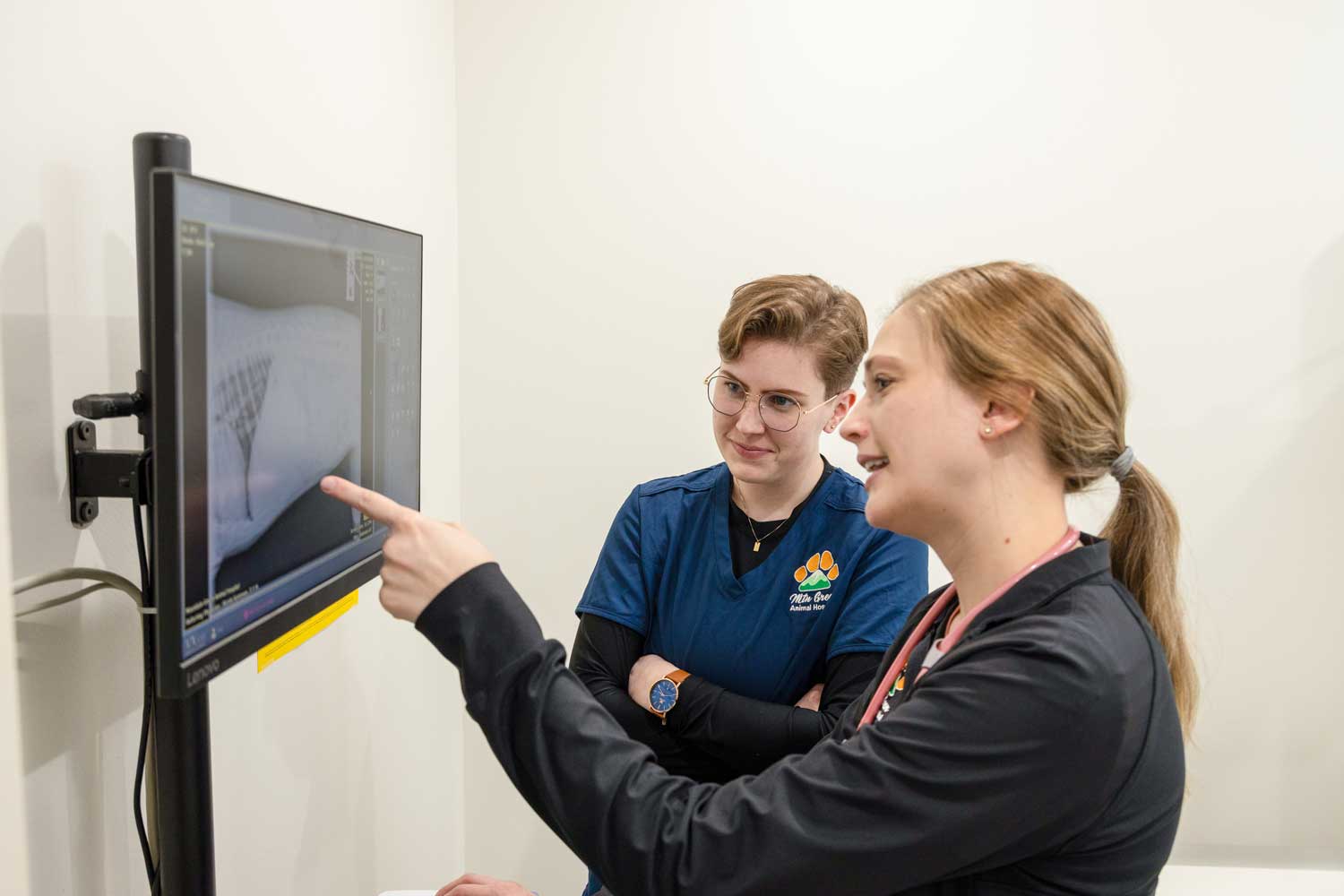 Veterinarian reviewing an X-ray image with a pet owner in a comfortable exam room