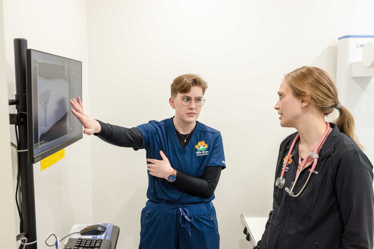 The veterinary team gently positioning a dog or cat for a digital X-ray, focusing on patient care and modern equipment
