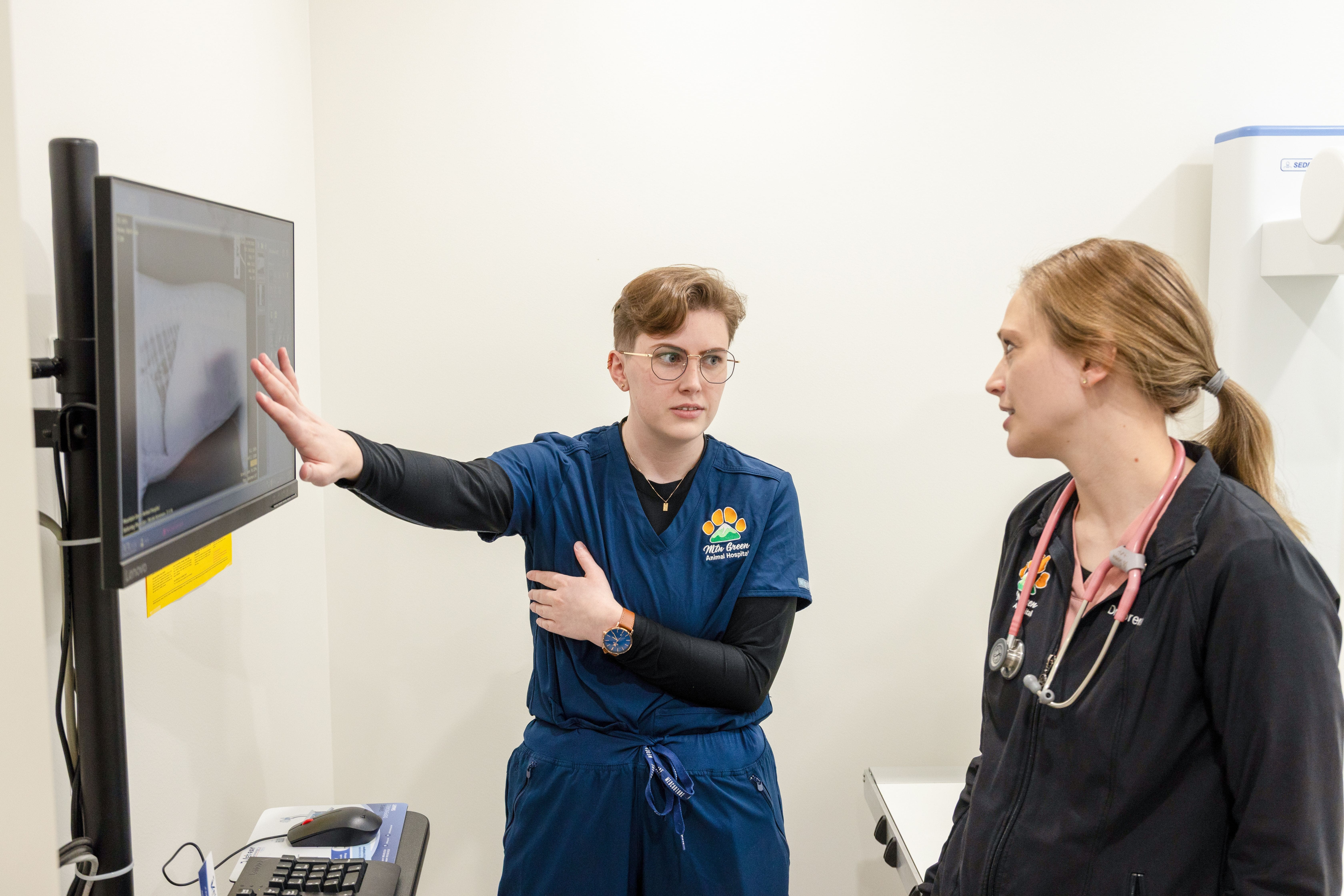 Veterinary team conducting a digital X-ray on a calm dog or cat