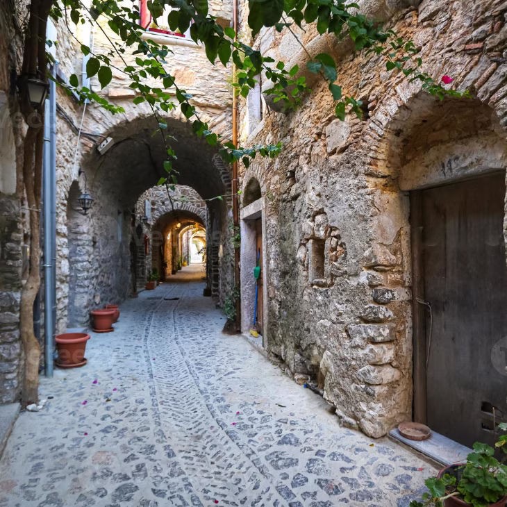 Narrow cobblestone alley with old stone archways and walls, adorned with plants and flower pots.