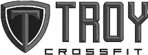 Troy Logo