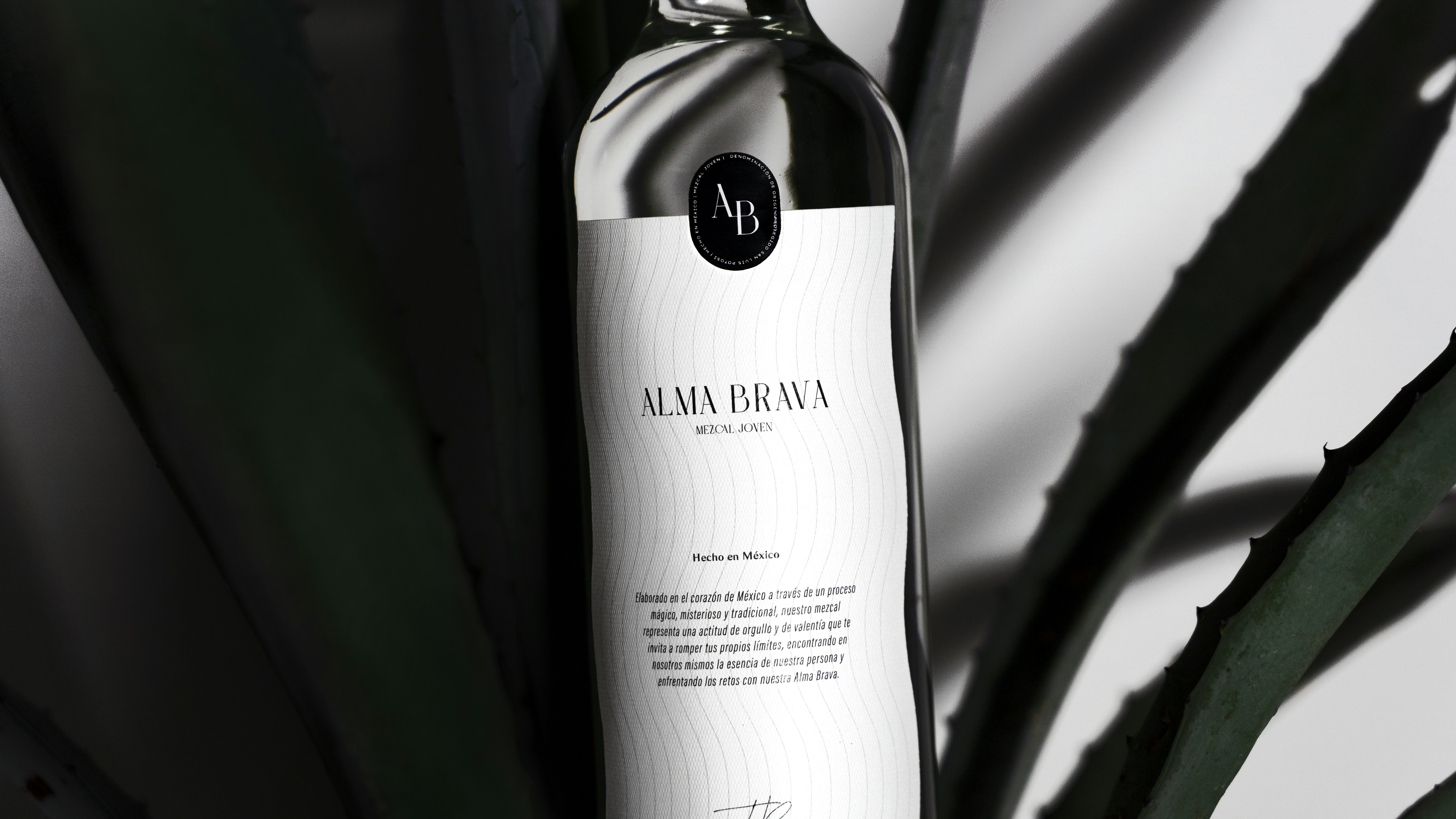 Inspired by cycles of growth, we created a language that felt natural, generous, and ever-evolving.