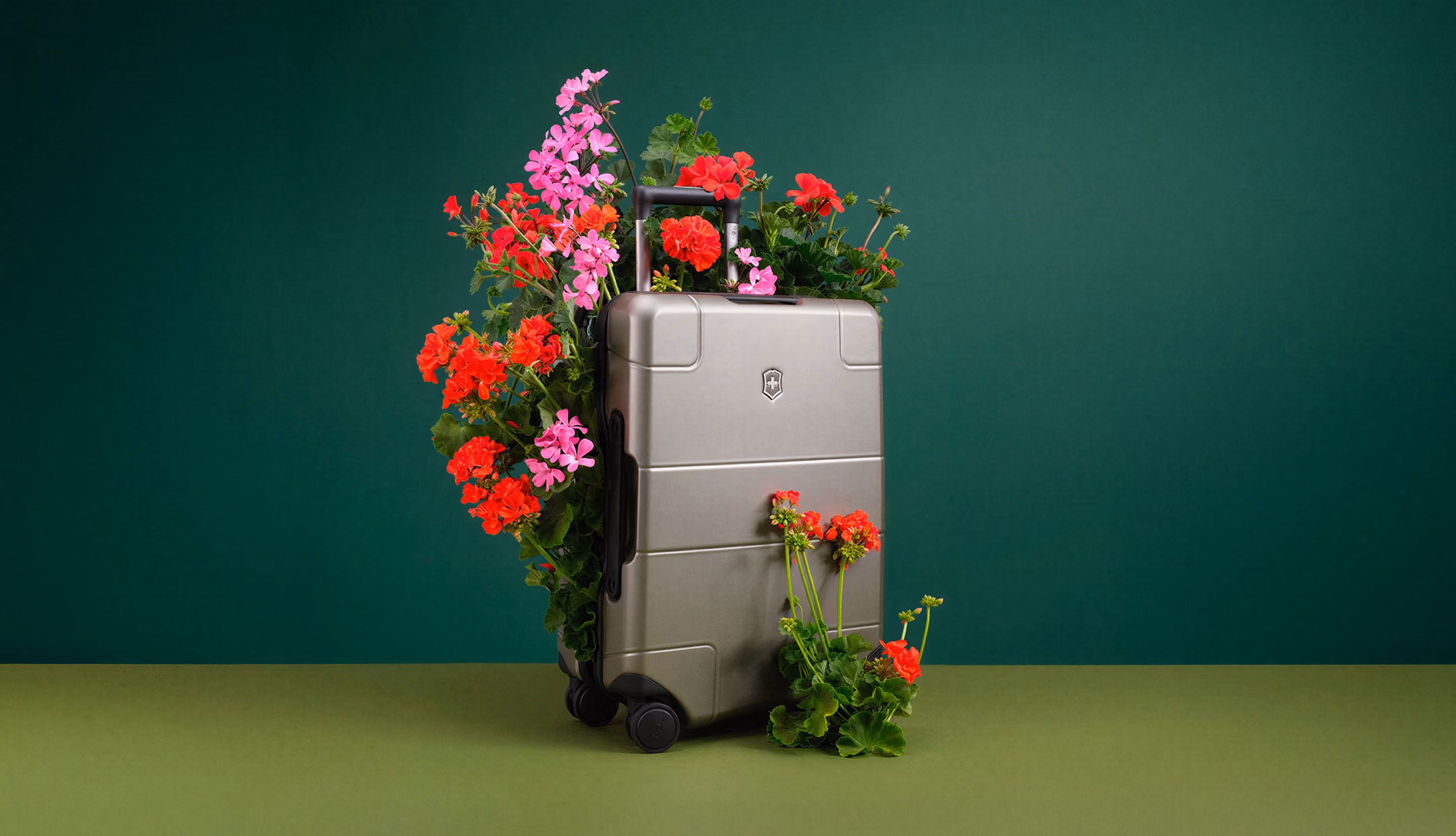 Silver suitcase with red and pink flowers growing out of and around it against a green background.