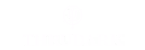 ThruDark Logo