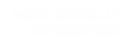 Net World Sports Logo
