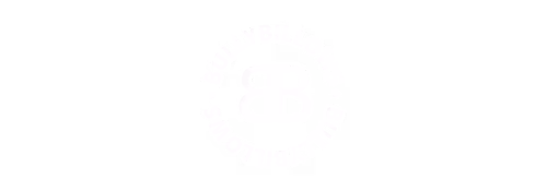 BullyBillows Logo