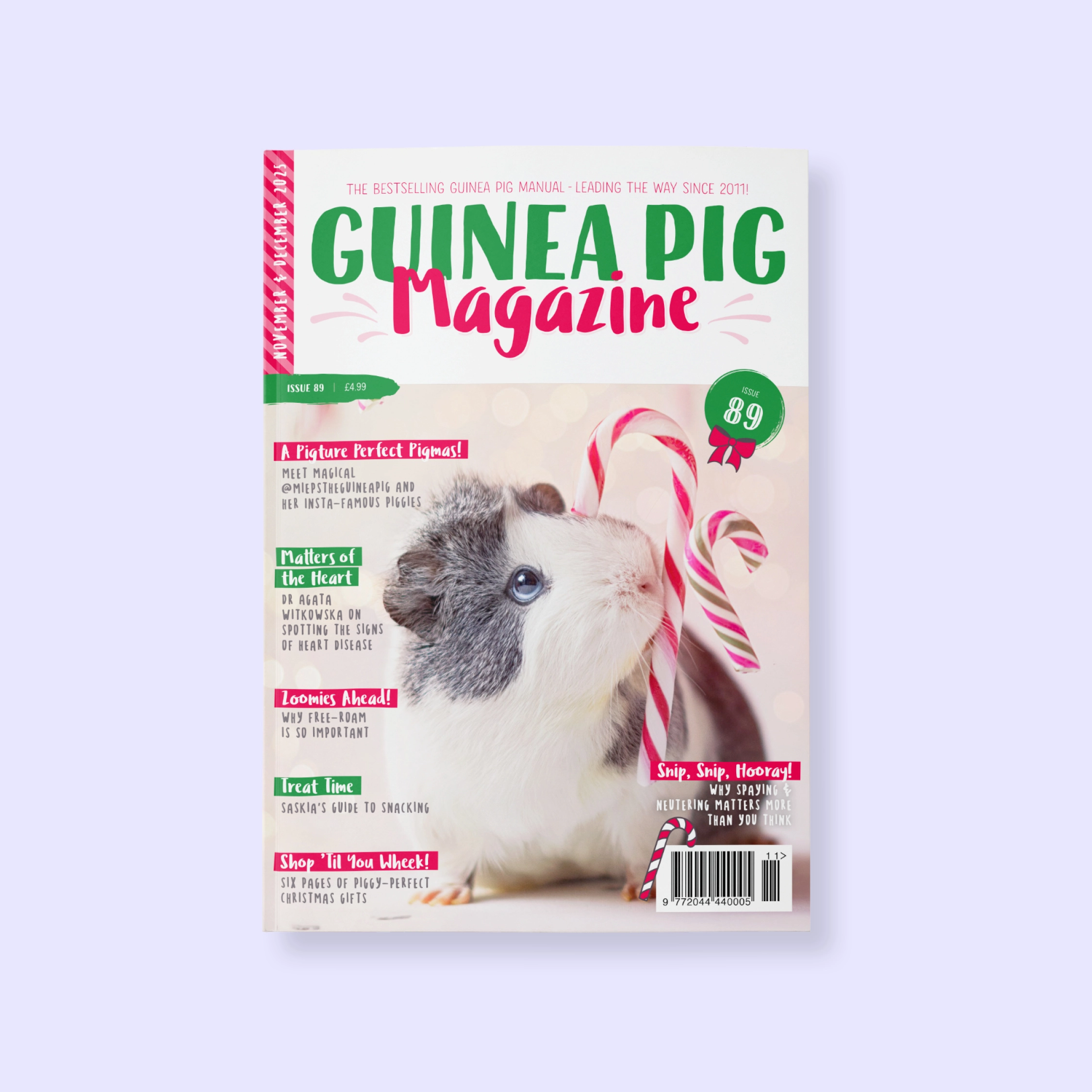 Guinea pig magazine cover 89