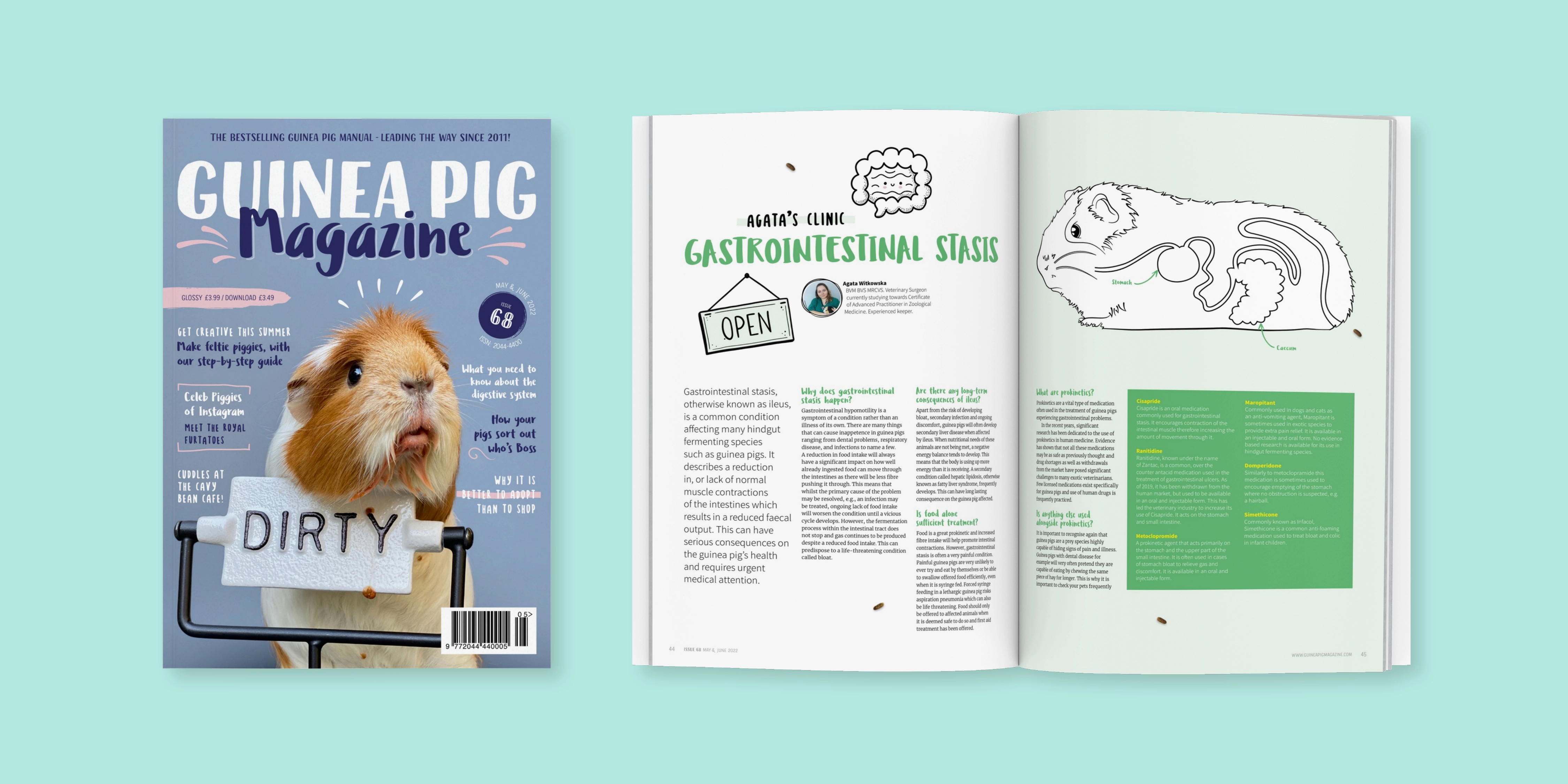 Building a professional, award-winning magazine