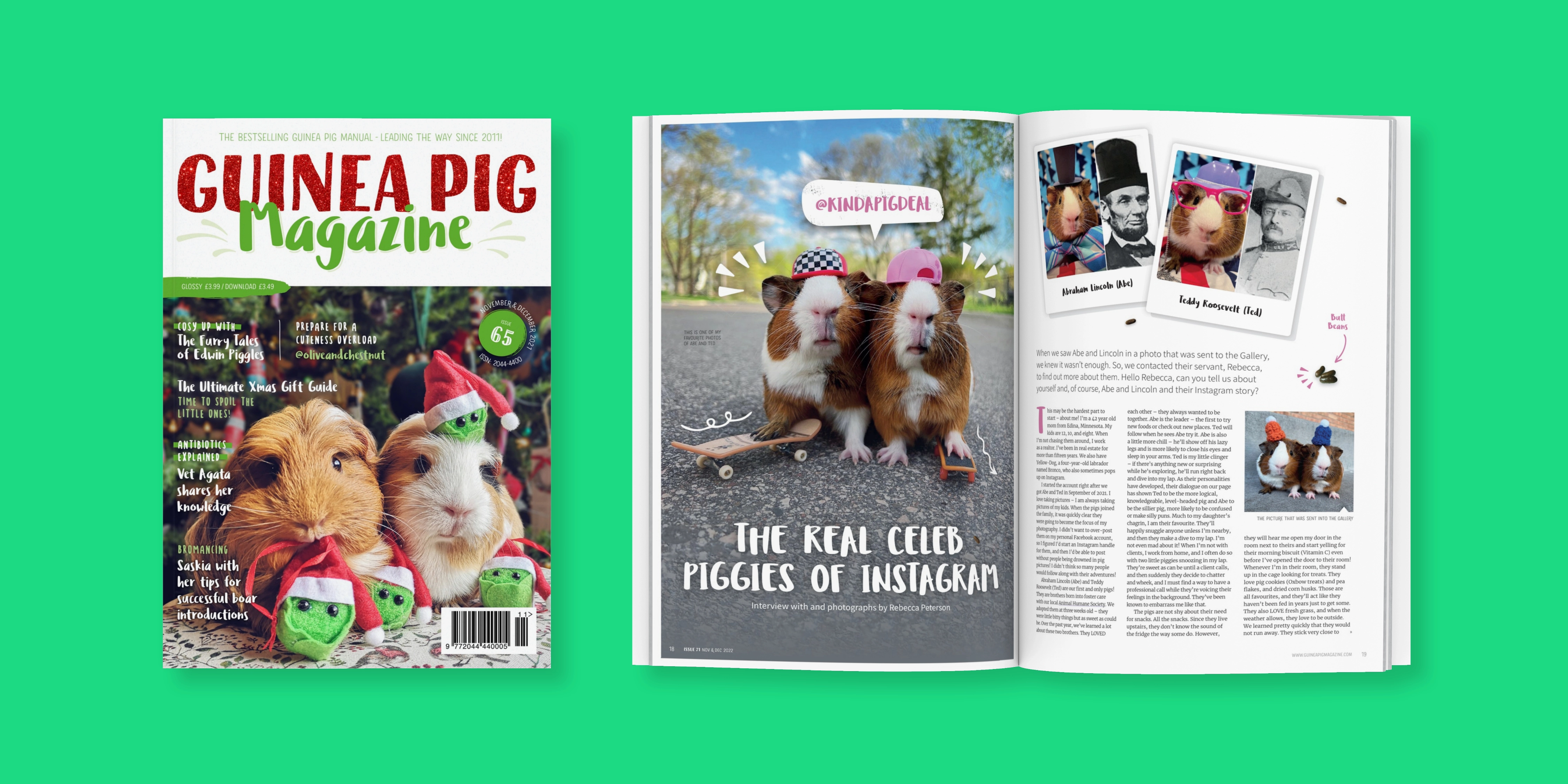 Guinea pig magazine issue 65 cover & spread
