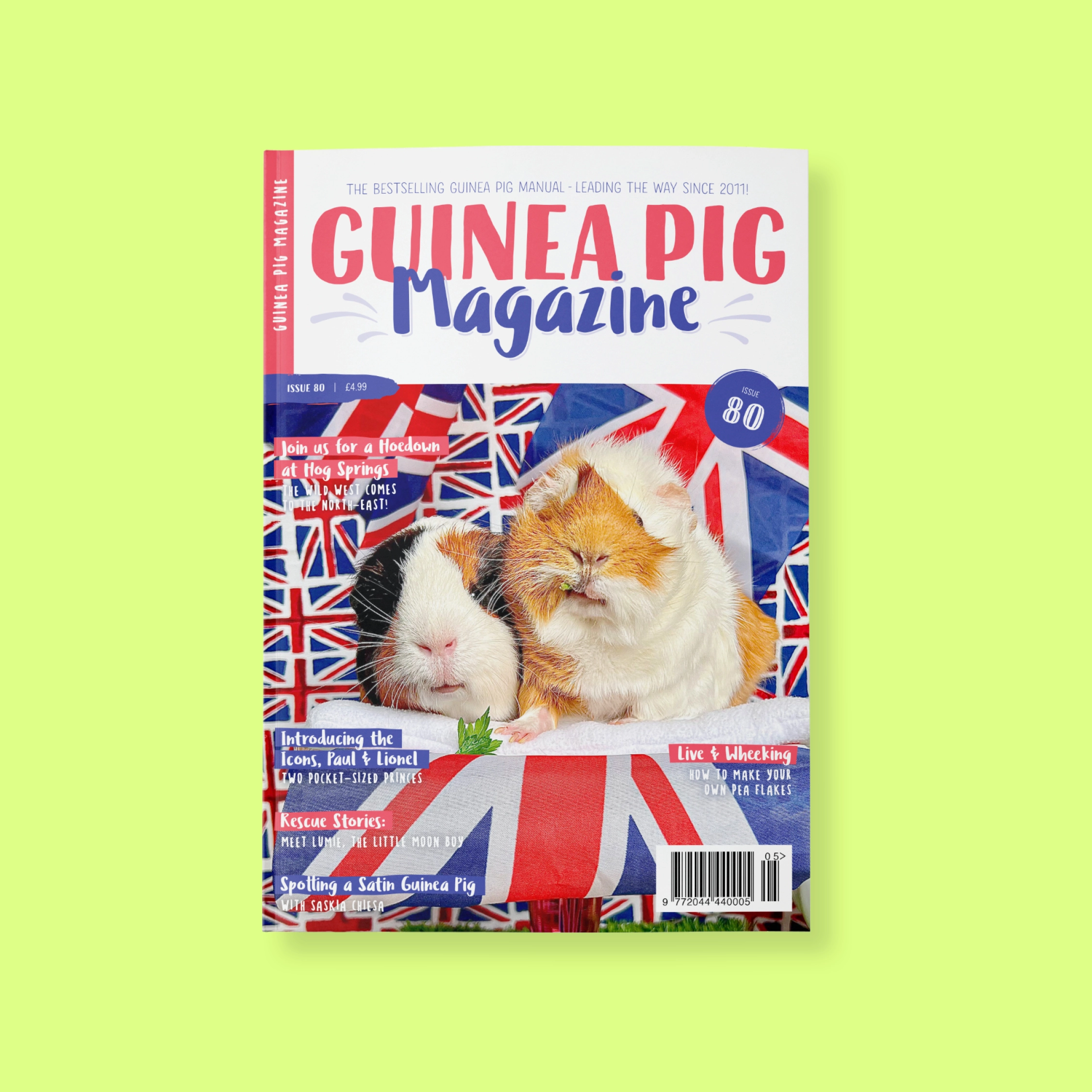 Guinea pig magazine issue 80