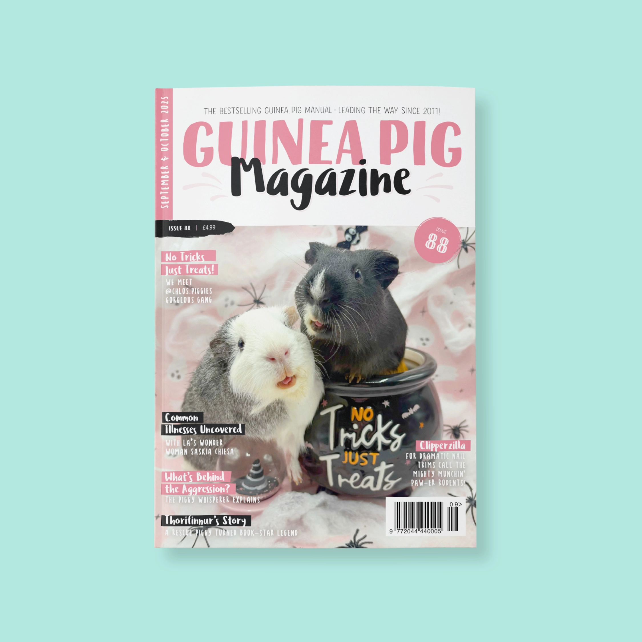Guinea pig magazine cover issue 88