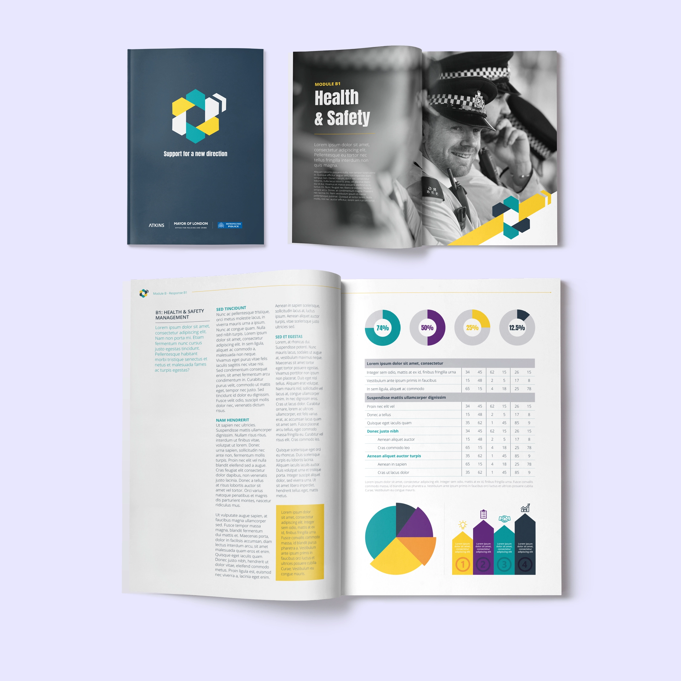 Bid design for the Mayor of London