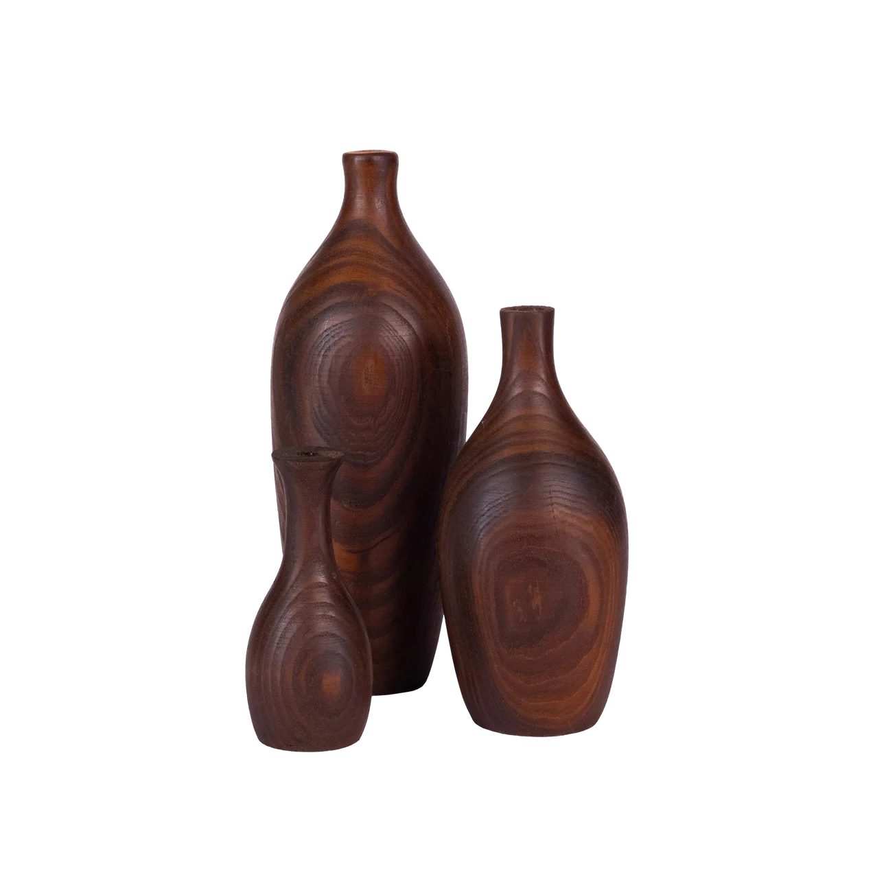 Organic Sculpture Pair