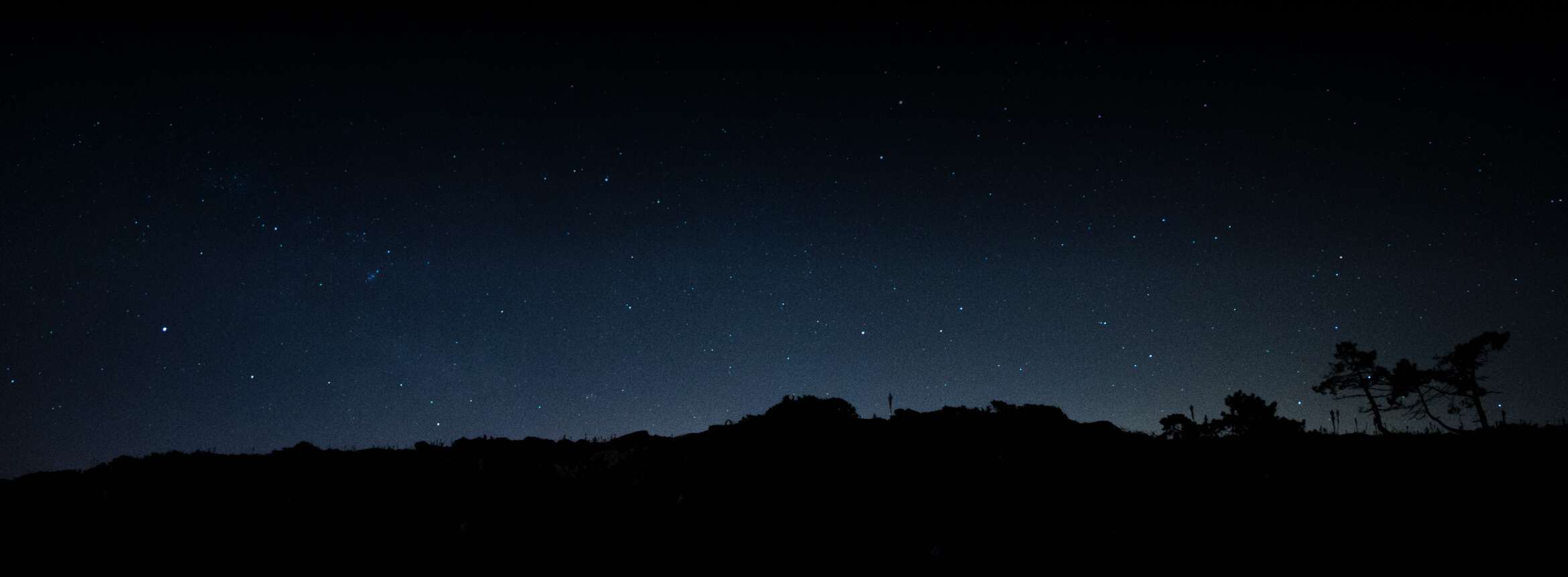 App Webflow Template -
Sunnyvale - Created by Wedoflow.com and Azwedo.com