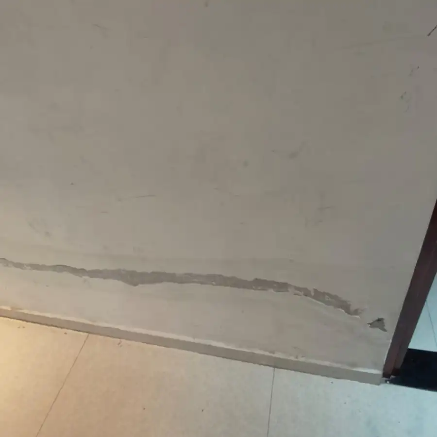 Severe rising damp causing paint peeling and efflorescence on an exterior wall