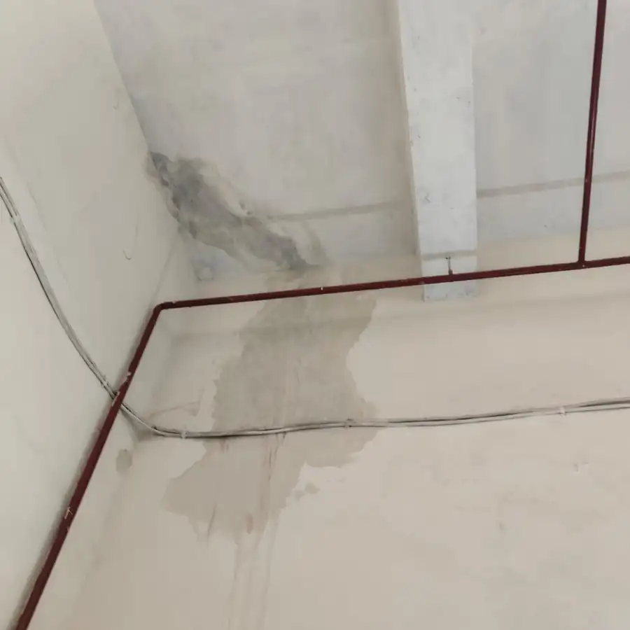 Severe waterproofing membrane failure peeling off a concrete slab