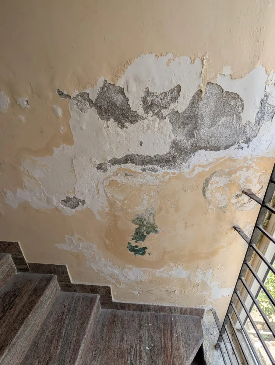 Salt formation in wall structural inspection