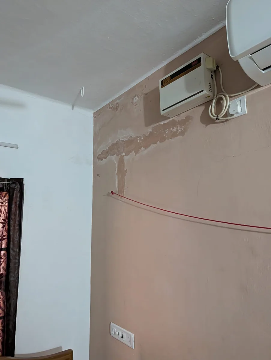 Dampness in wall inspection by structural engineer