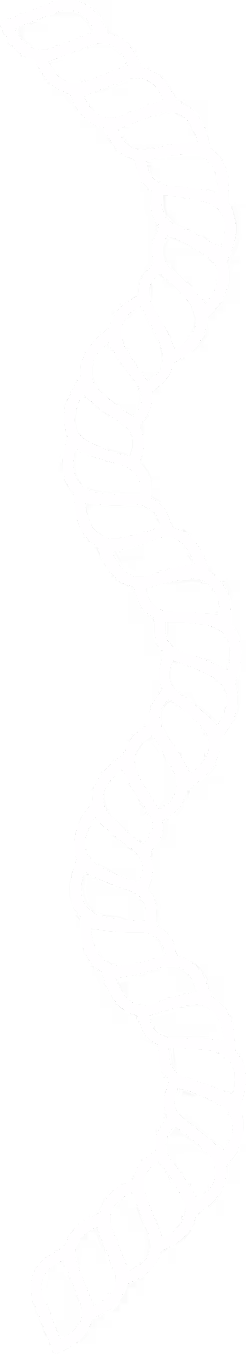 Curved, twisted cream-colored rope with a hollow center on a transparent background.