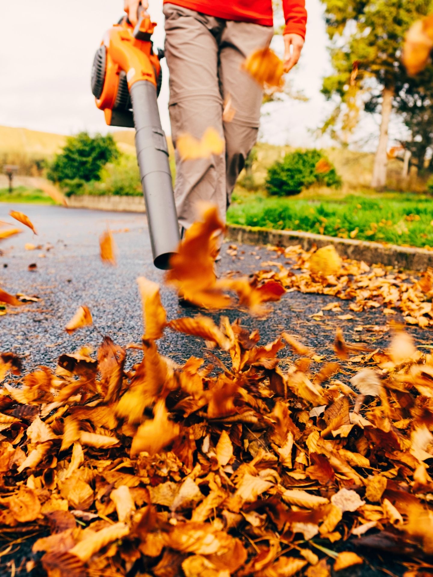 A pro with a leaf blower