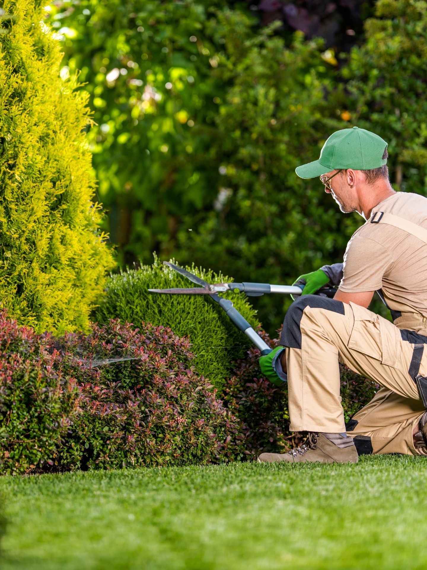 A pro trimming bushes
