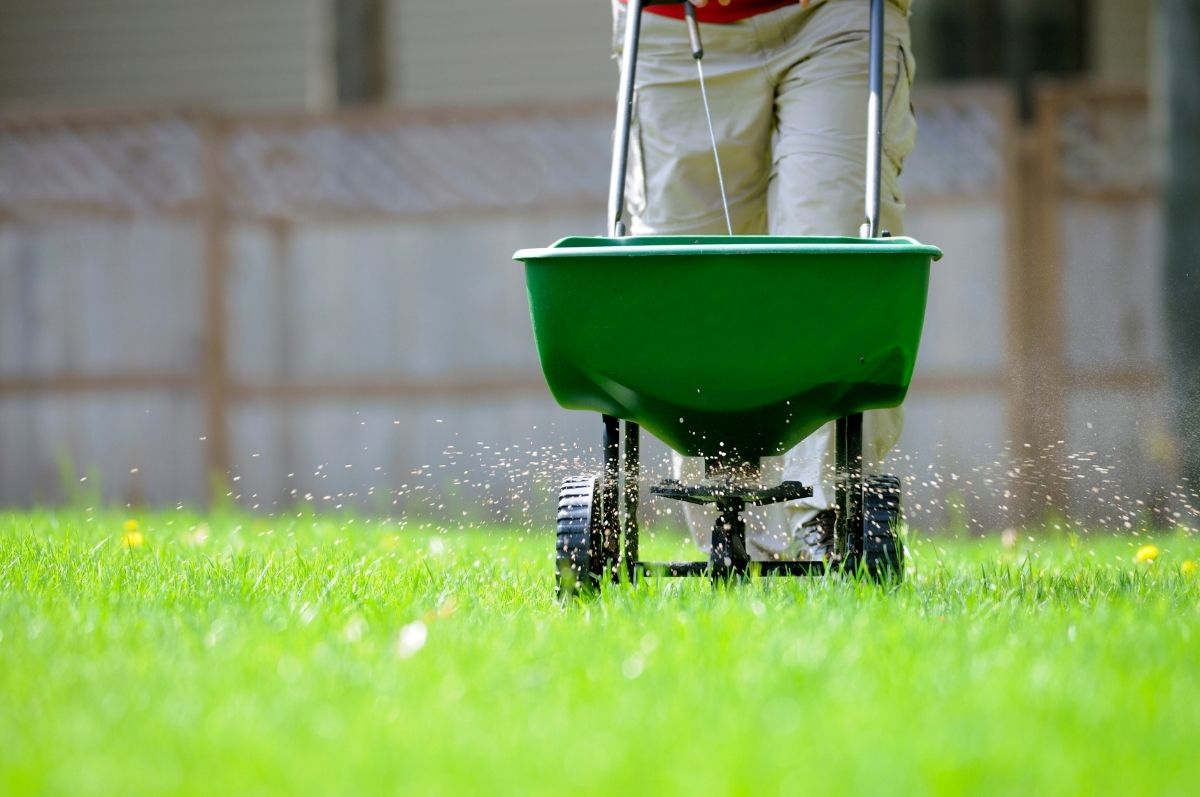 A professional applying fertilization to a lawn