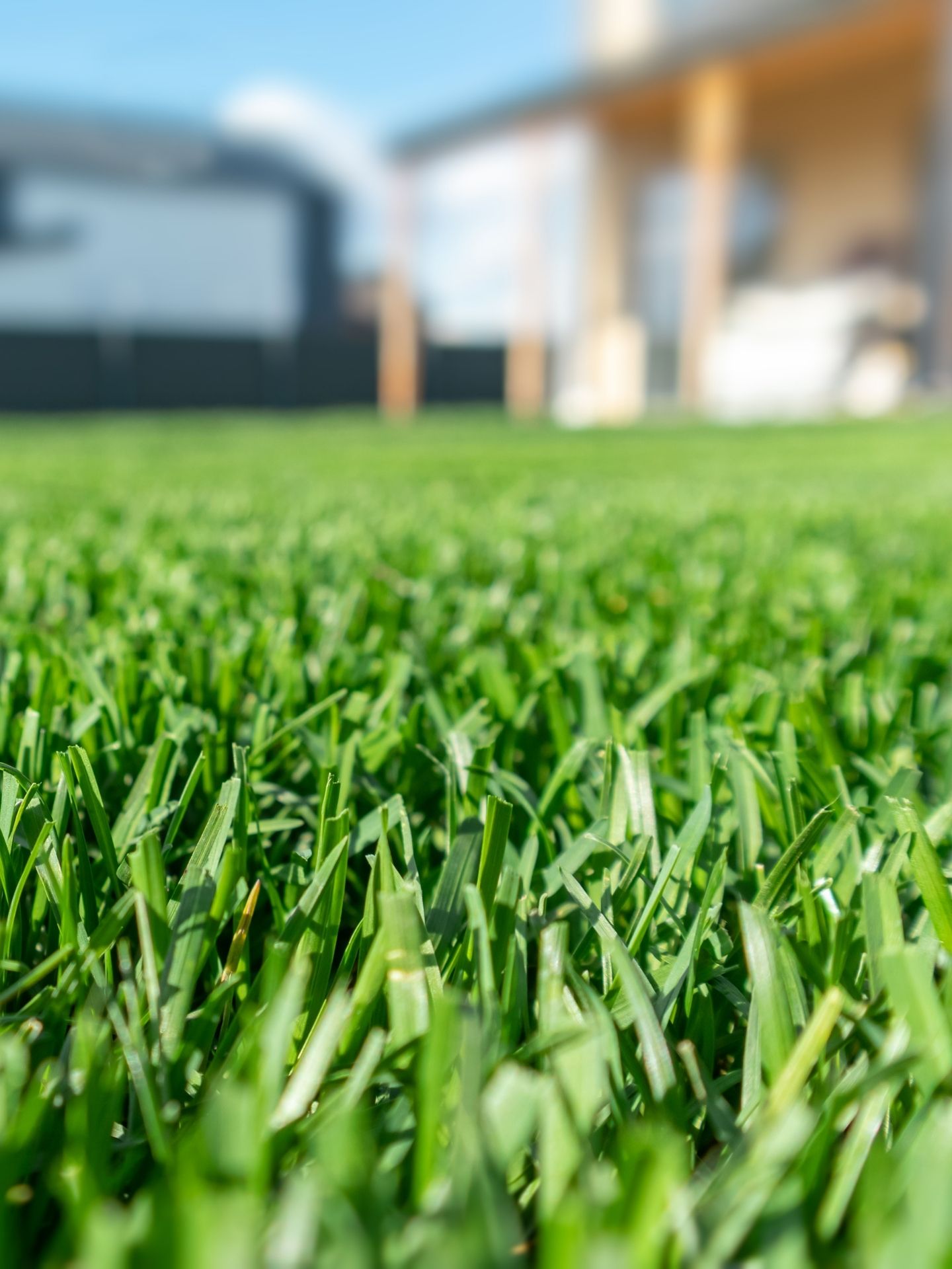 A weed free lawn with curb appeal