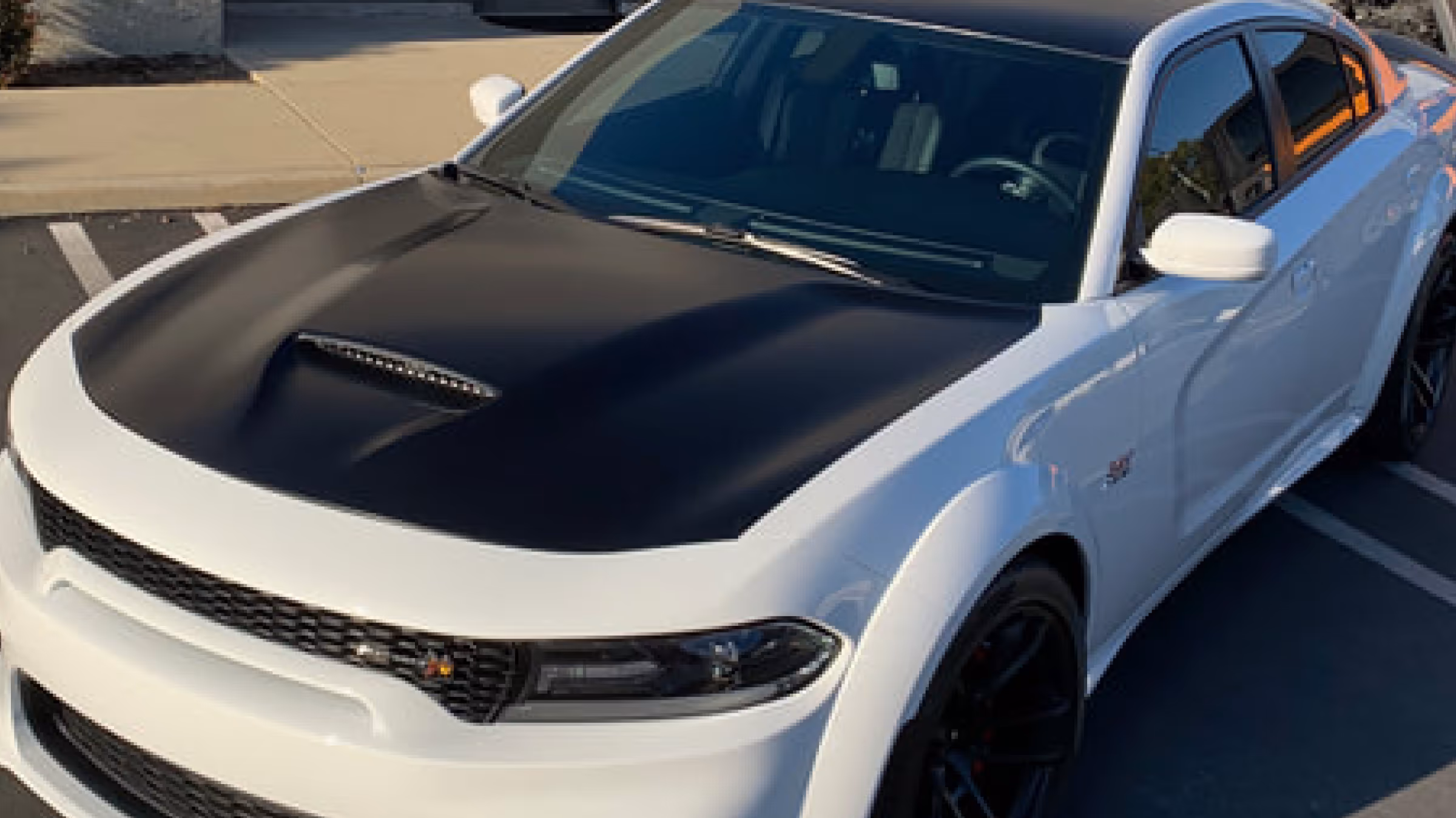 Photo of a black and white car with an elite window tint.