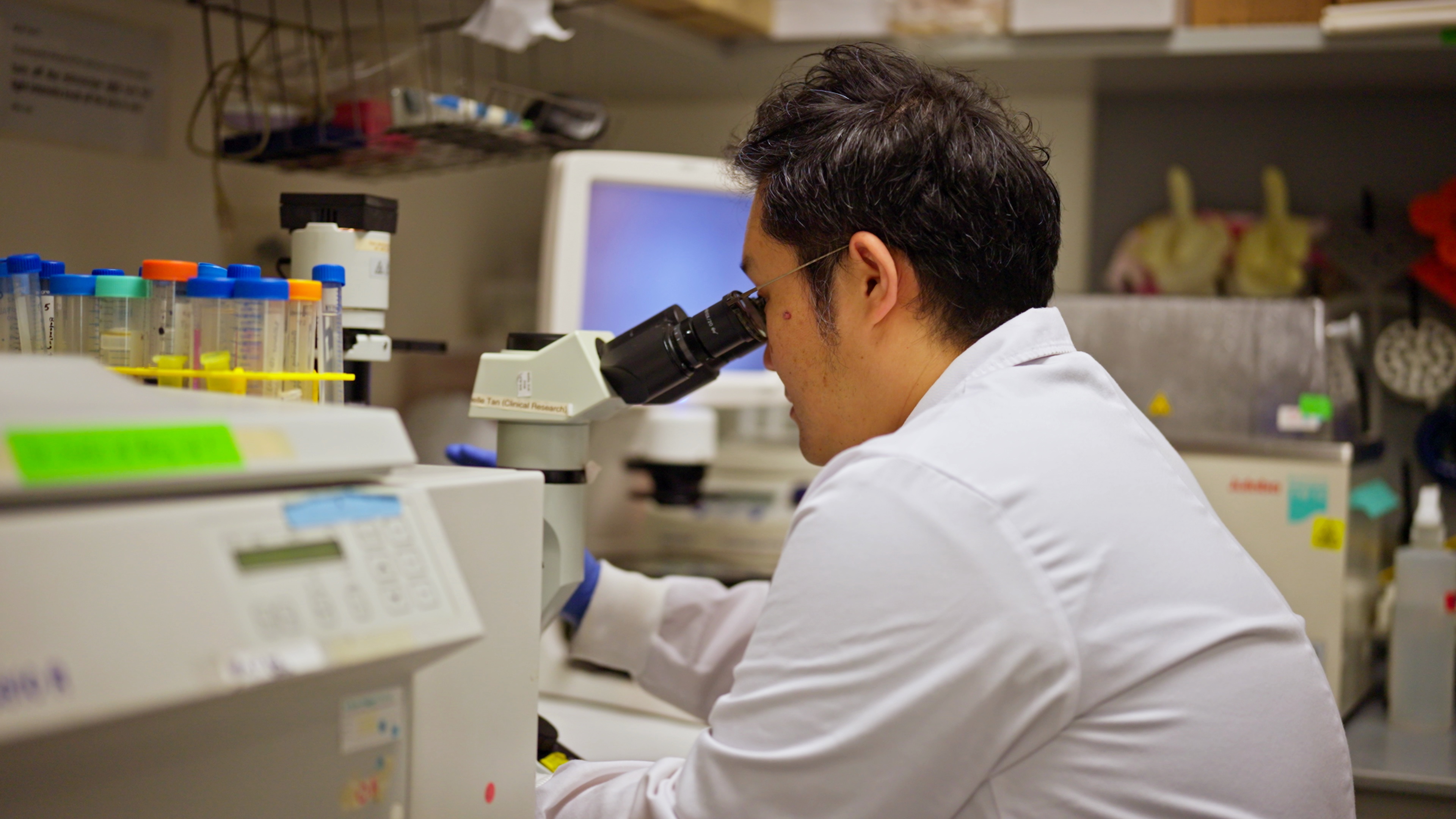 Musculoskeletal Sciences