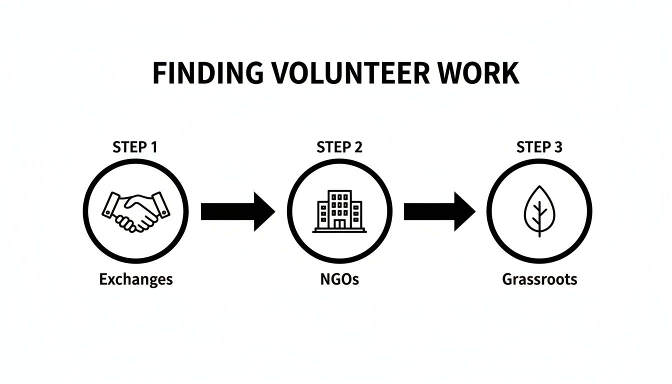 A three-step visual guide outlining ways to find volunteer work, including exchanges, NGOs, and grassroots.