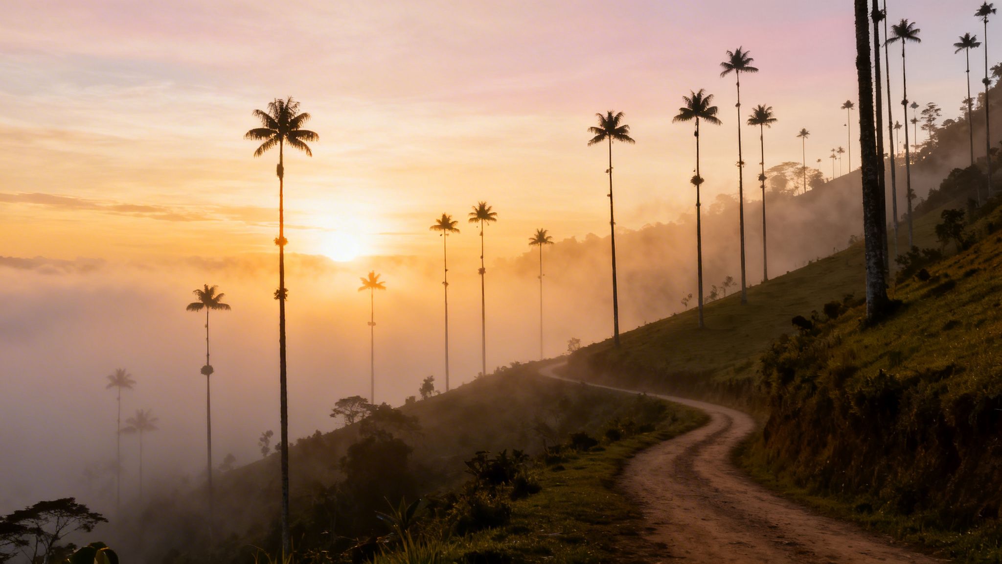 Golden sunrise illuminates a misty valley with towering palm trees and a winding road.