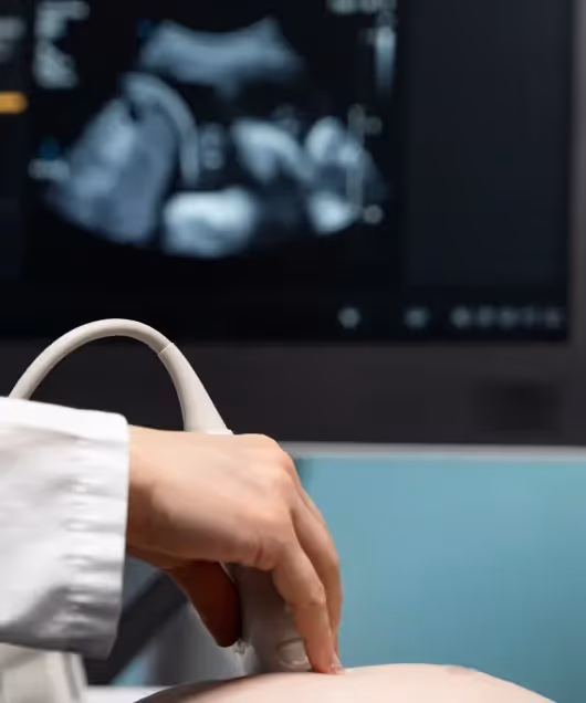 This is the default text value