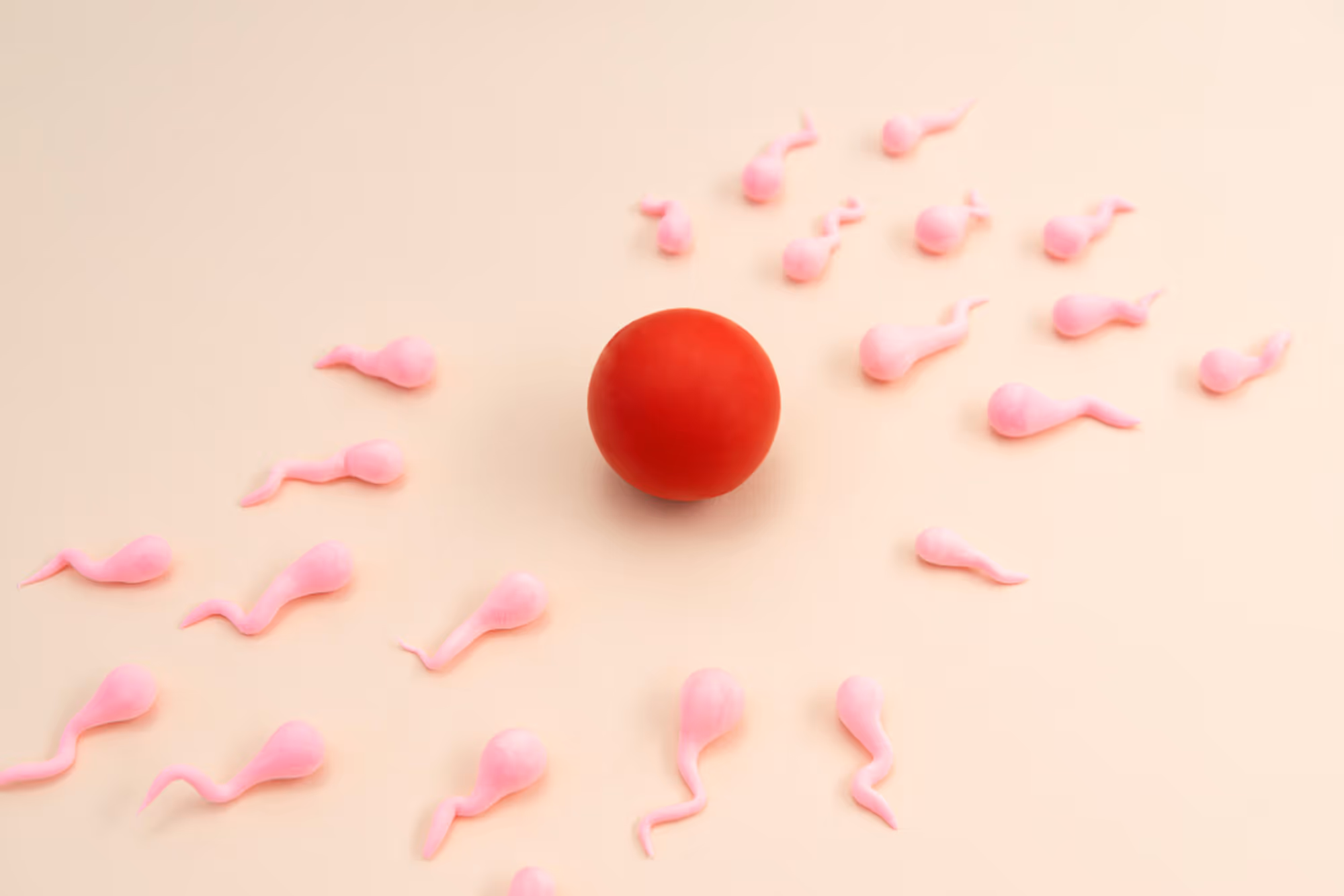 This is the default text value