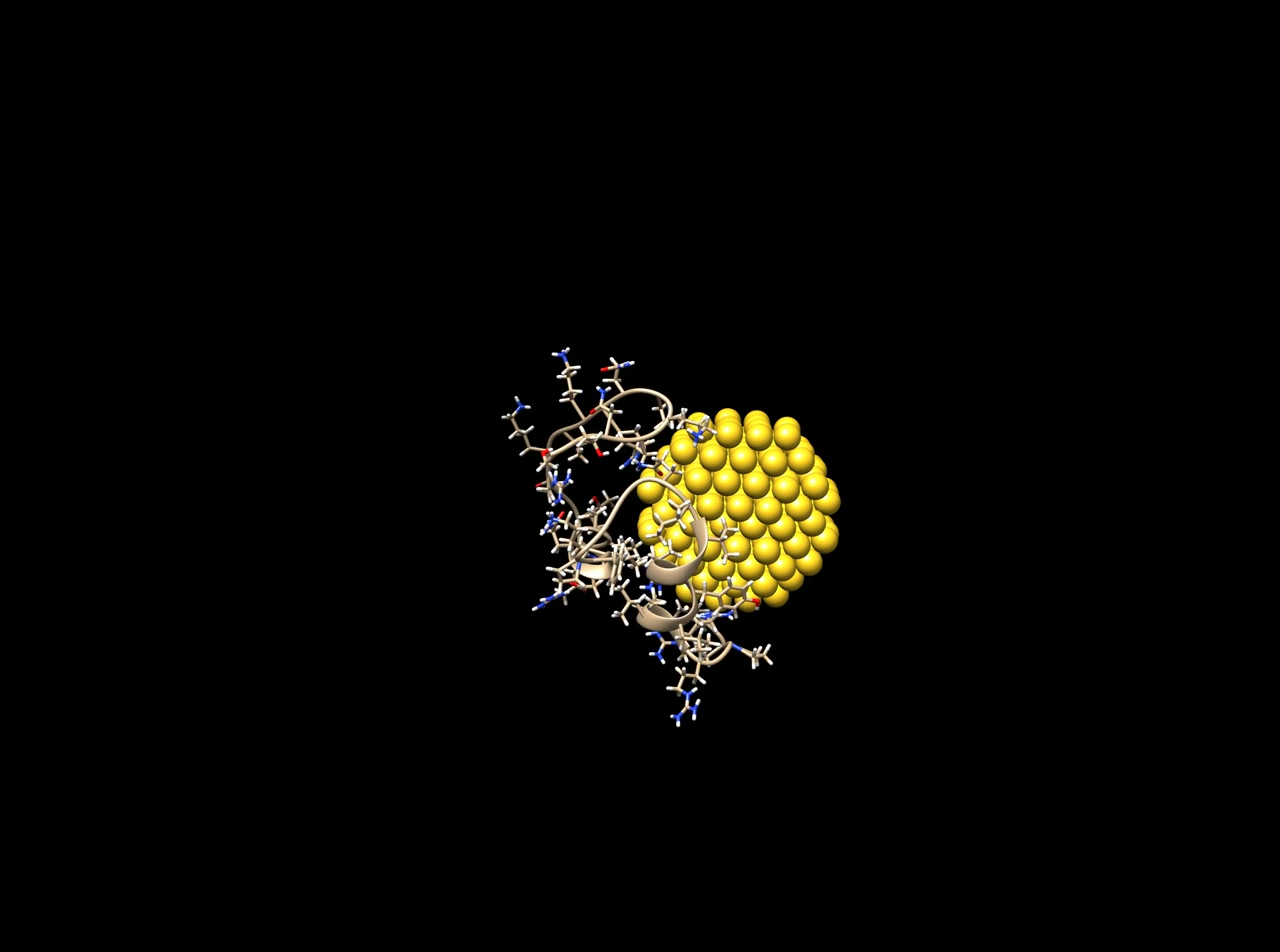 Molecular visualization of a protein alongside a gold nanoparticle