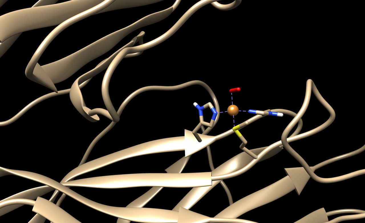 Molecular visualization of a metal coordination site within a protein
