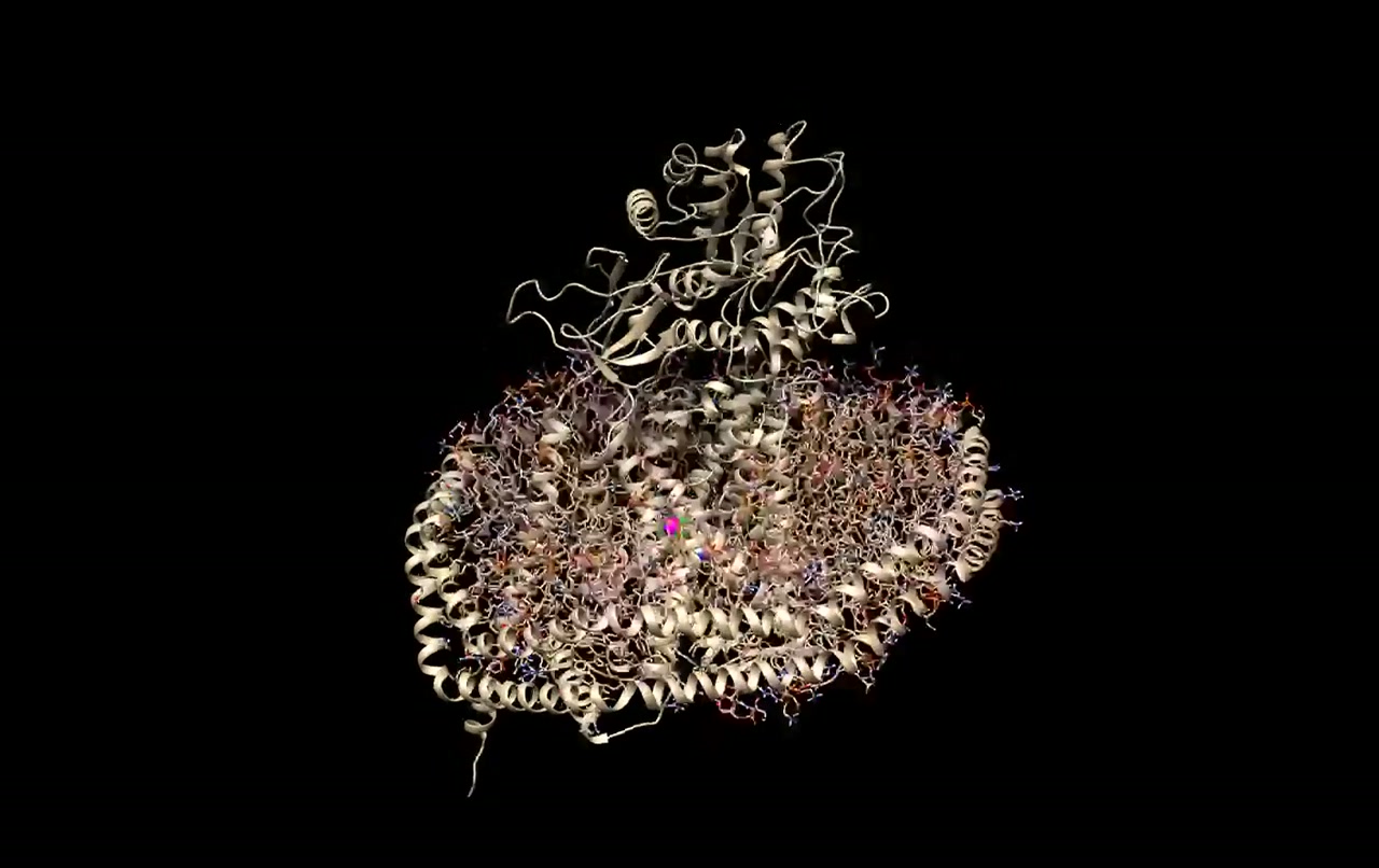 Molecular visualization of a protein within a lipid membrane
