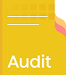 Yellow folder icon with the word Audit below it.