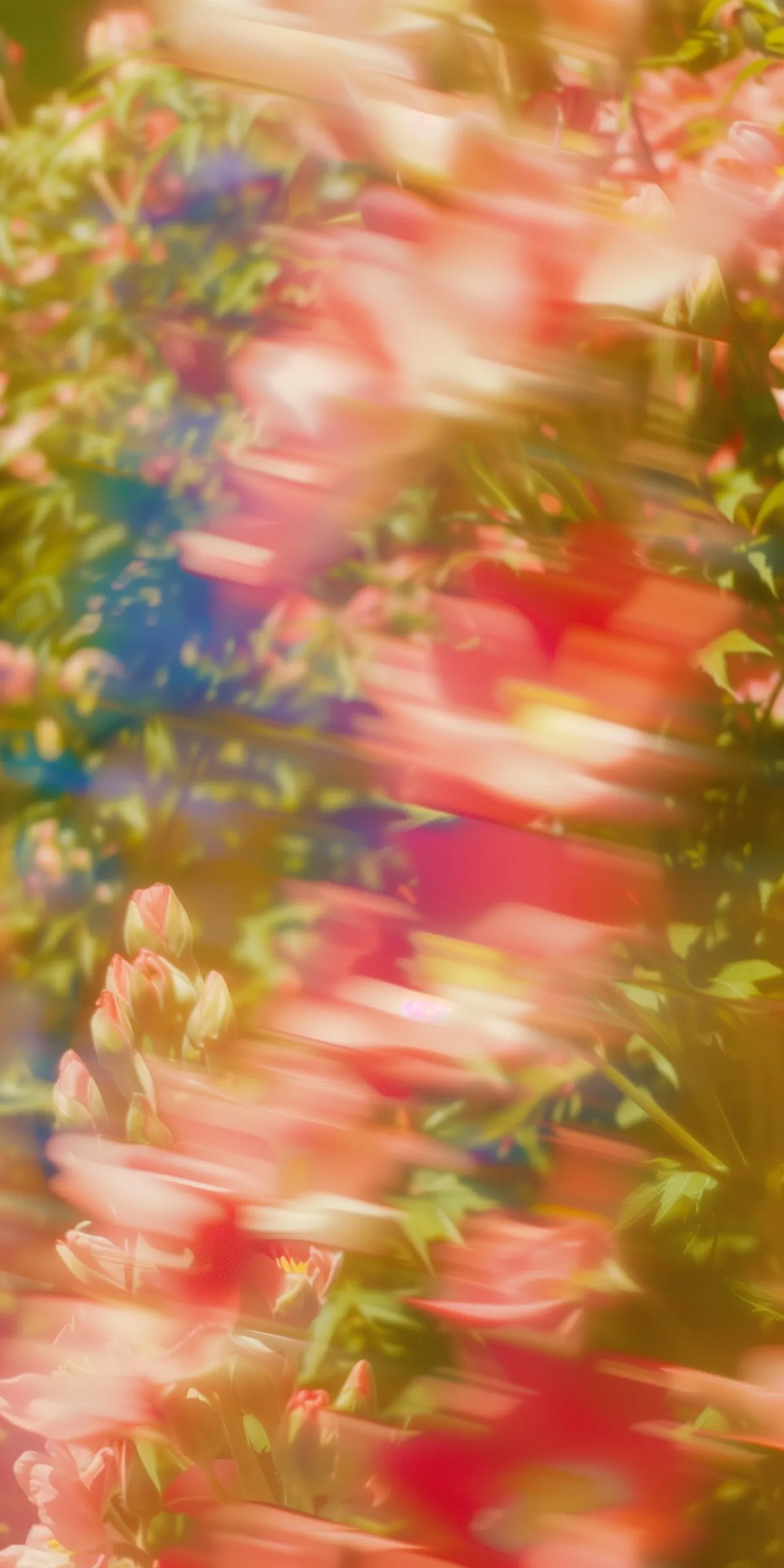 Abstract floral motion blur