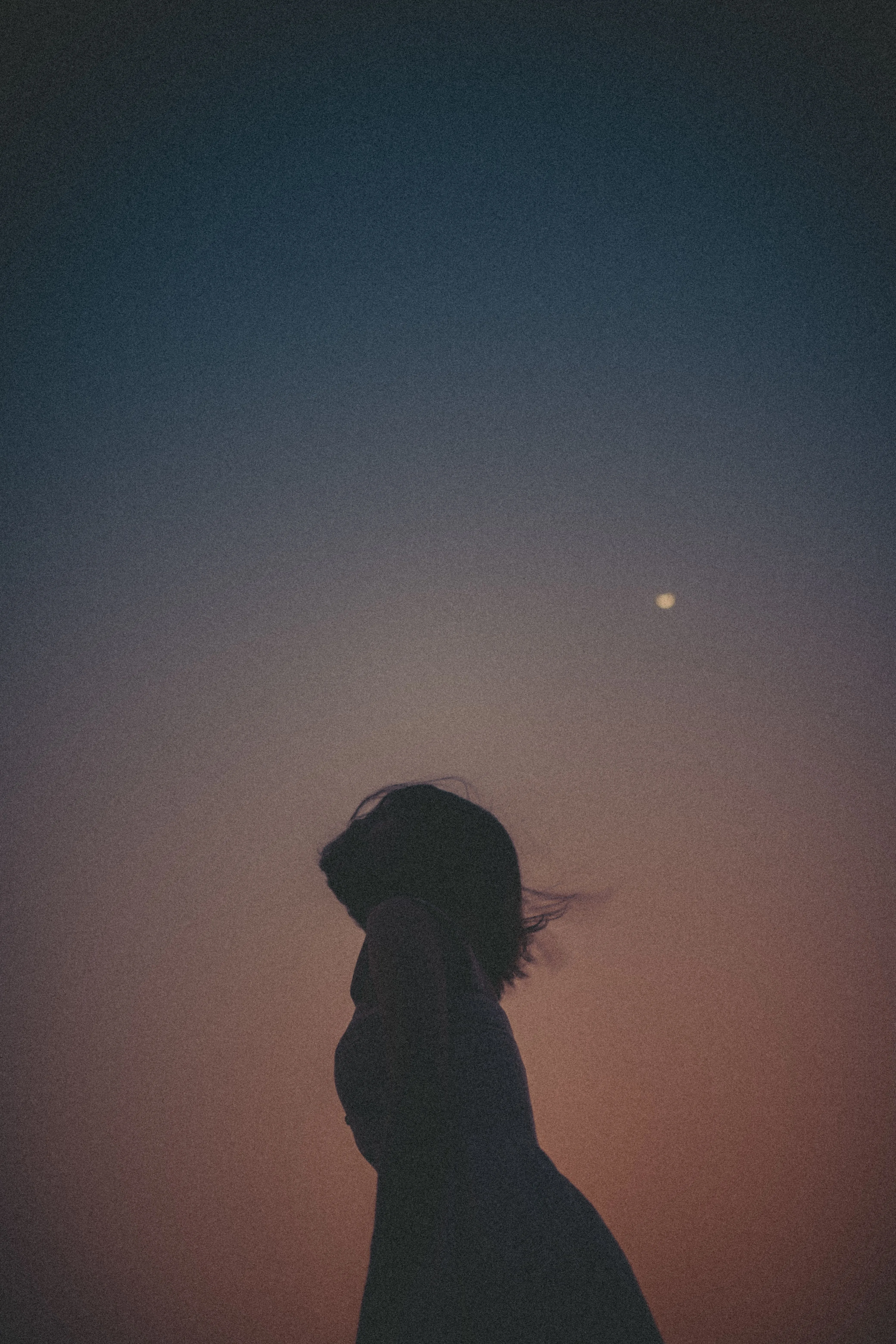 Silhouette at Dusk