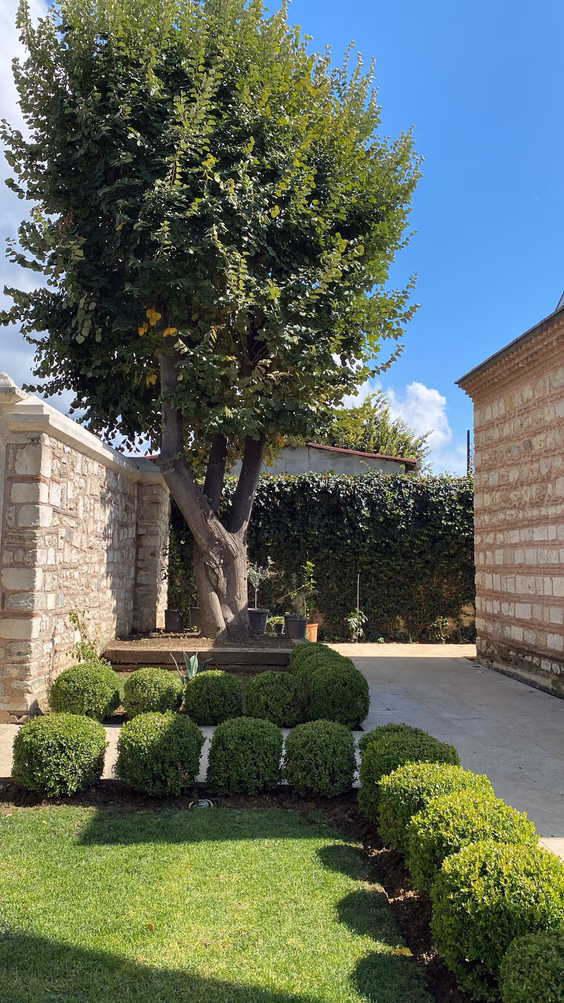 Sunlit garden with neatly trimmed spherical bushes, a large leafy tree, stone walls, and a paved pathway under a clear blue sky.
