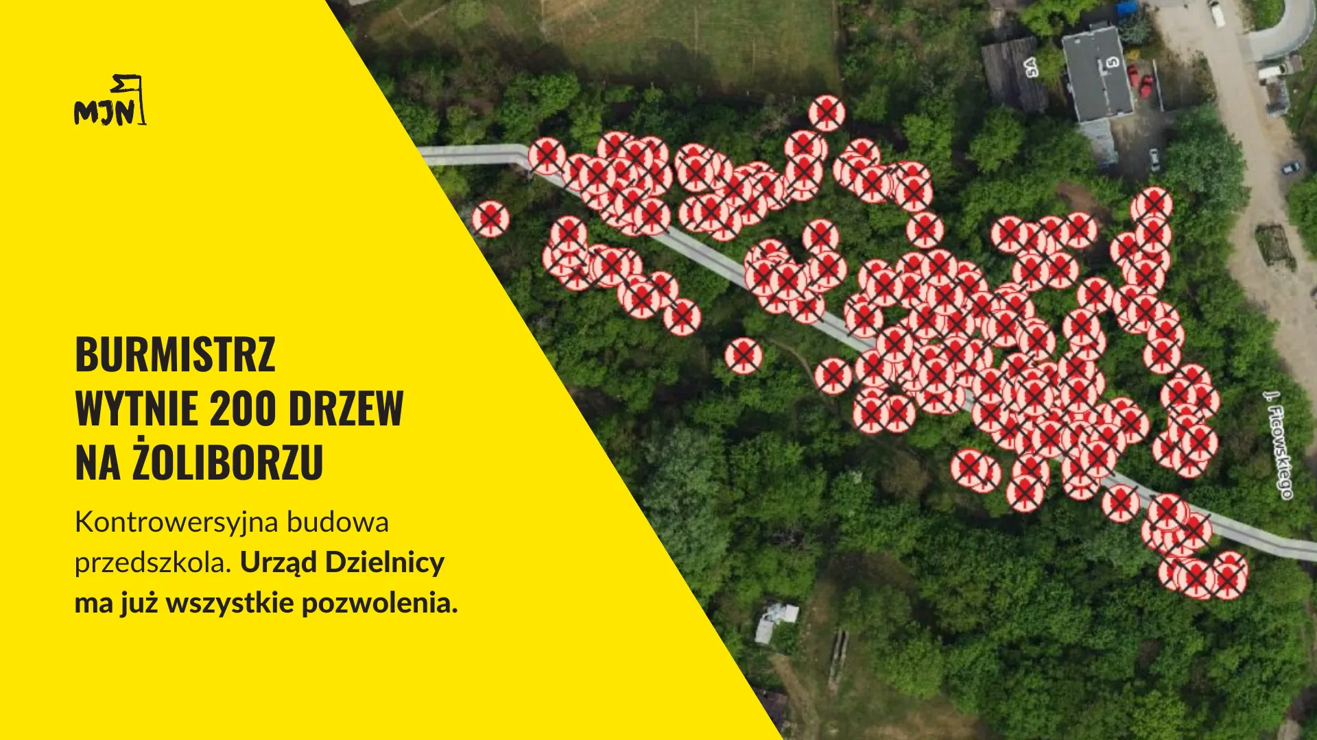 Burmistrz wytnie 200 drzew na Żoliborzu