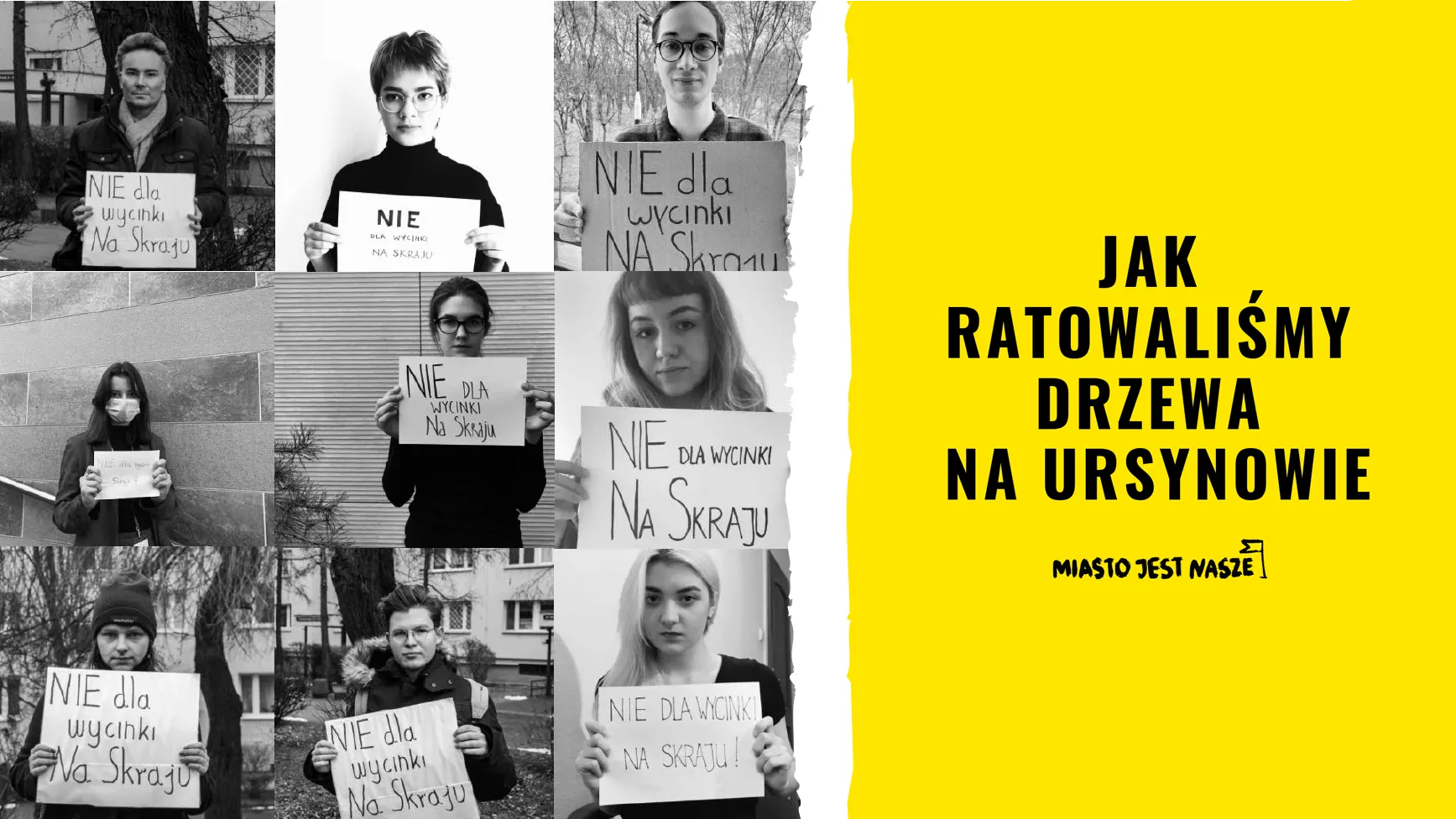 Jak ratowaliśmy drzewa na Ursynowie