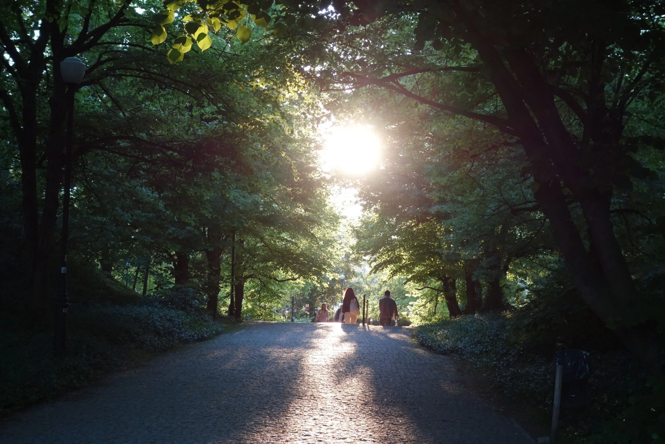 Petycja w obronie przyrody Parku Żeromskiego