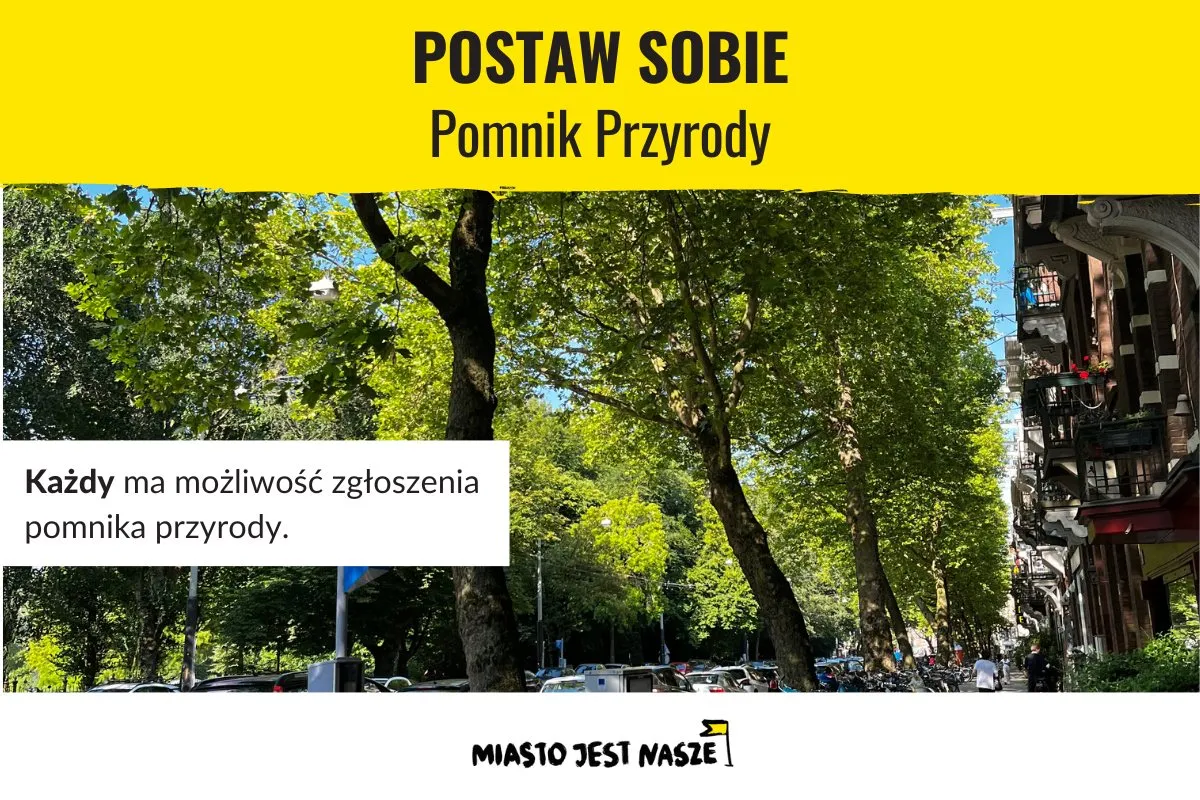 Postaw sobie pomnik przyrody