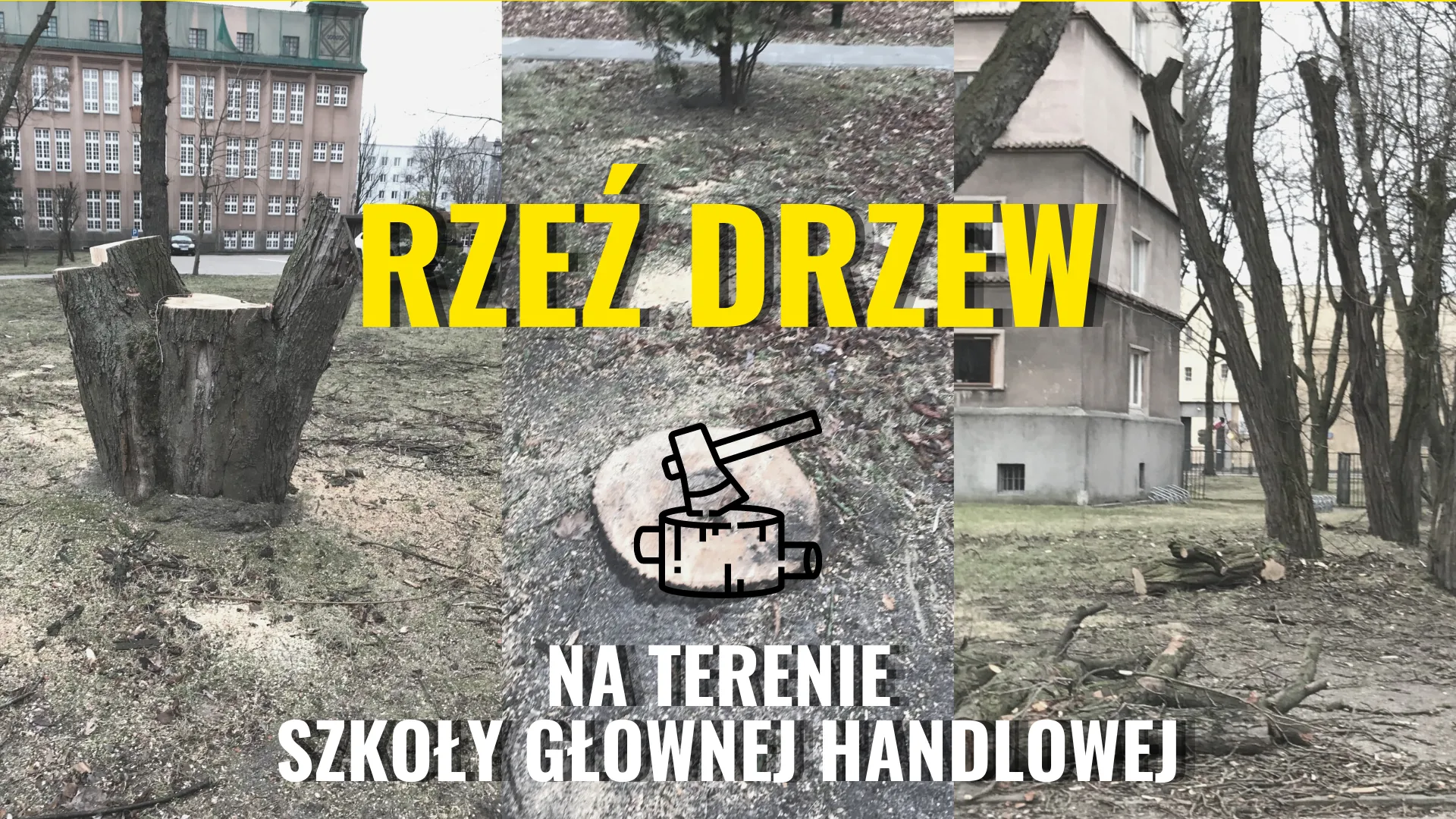 Władze SGH zamieniają ogrody rektorskie w wielki parking