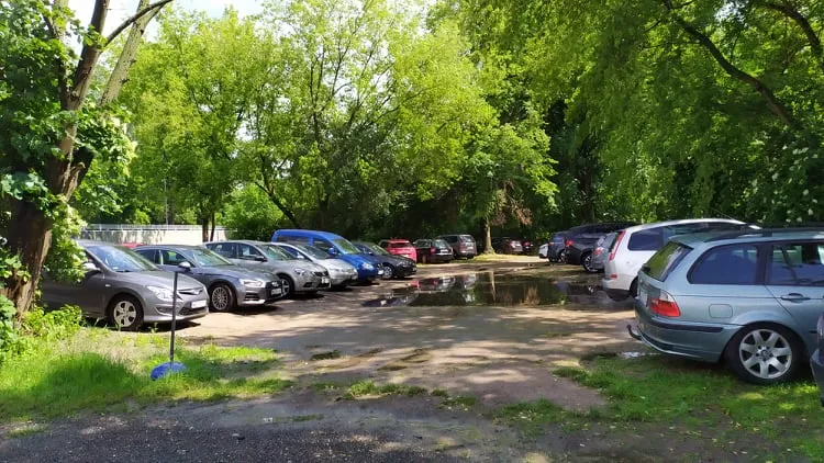 Dziki las czy dzikie parkowanie?