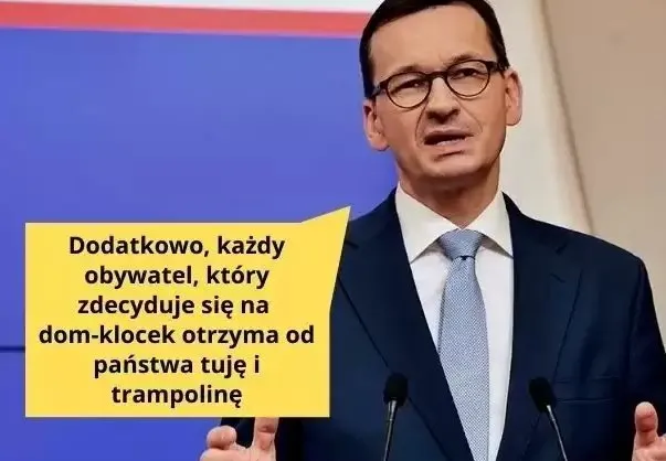 Nowy polski (NIE)ład